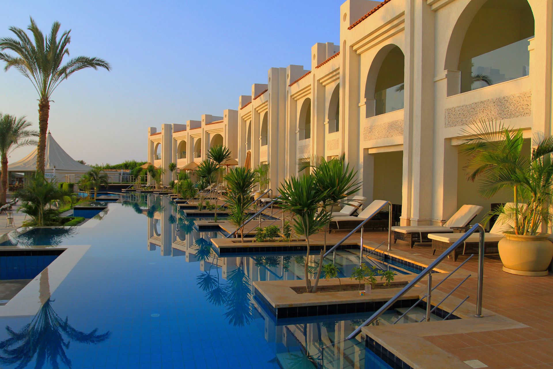 A resort infinity pool framed by palms at dusk